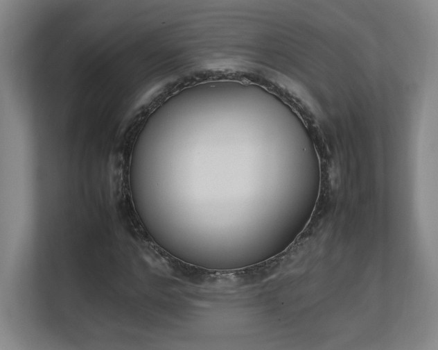 X0000111250968200907021428