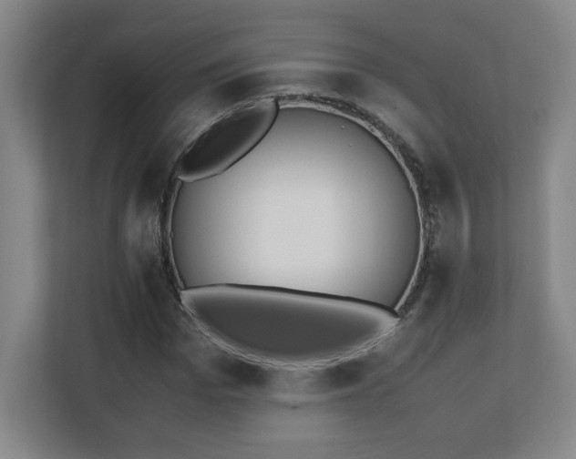 X0000111250969200907021428