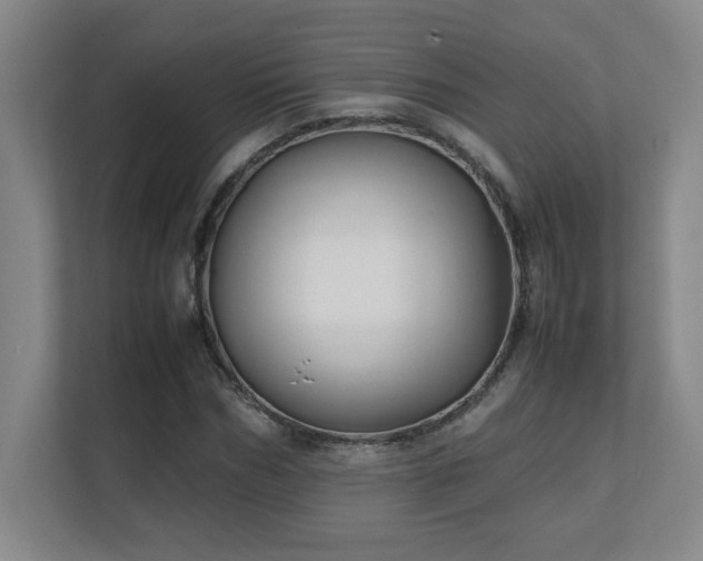 X0000111250970200907021428
