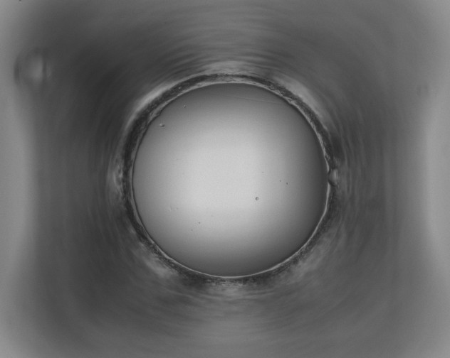X0000111250971200907021428