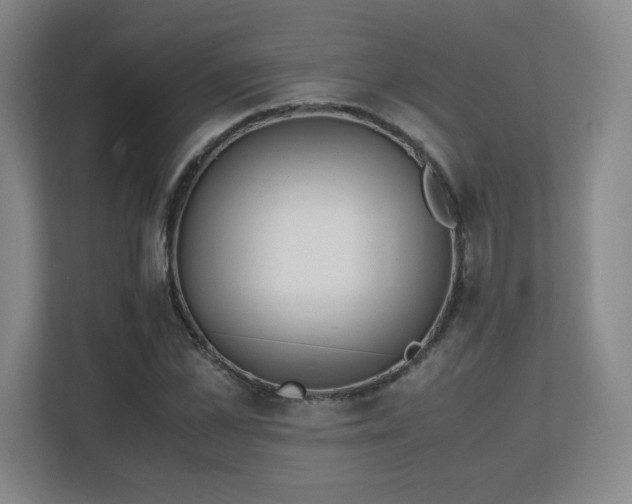 X0000111250973200907021428