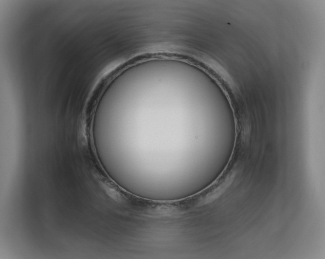 X0000111250974200907021428