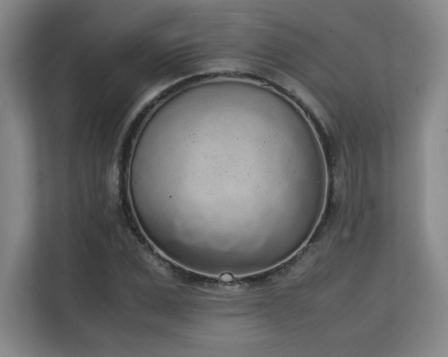X0000111250975200907021428