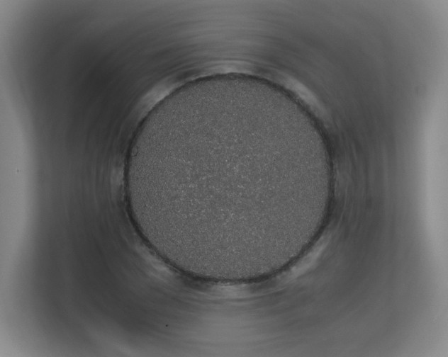 X0000111250977200907021428