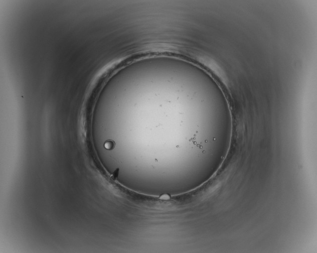X0000111250979200907021428