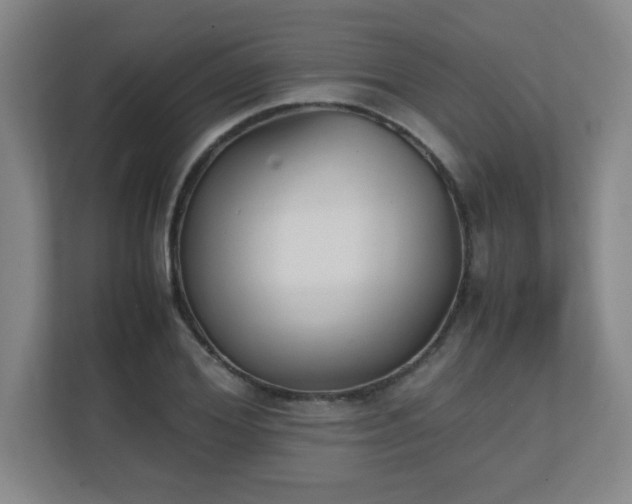X0000111250980200907021428