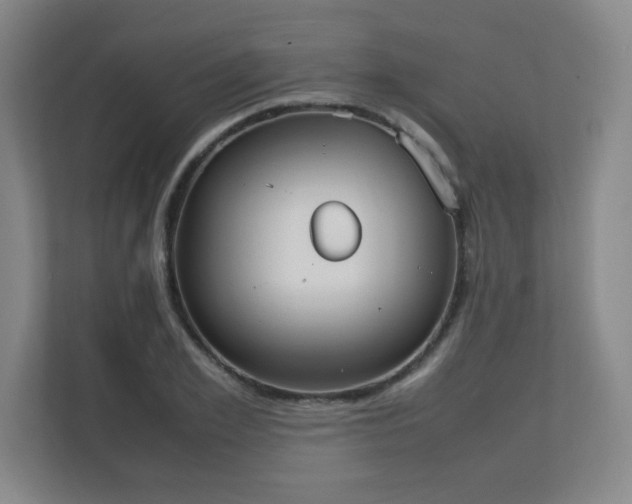 X0000111250981200907021428