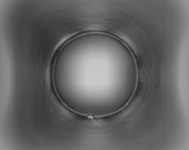 X0000111250983200907021428