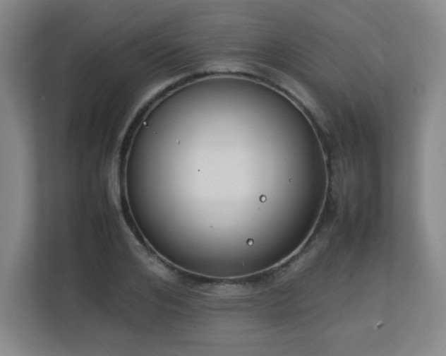 X0000111250984200907021428