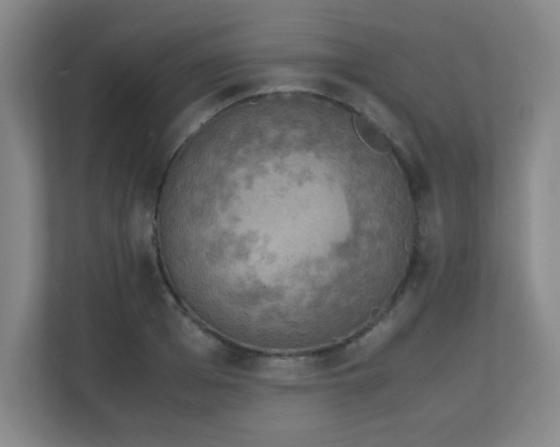 X0000111250985200907021428