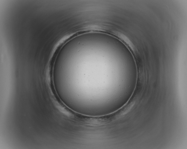 X0000111250987200907021428