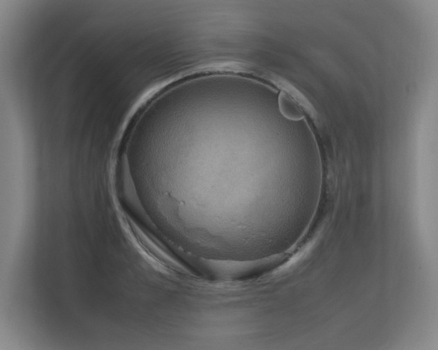 X0000111250989200907021428