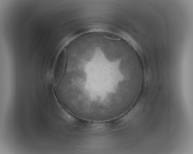 X0000111250993200907021427