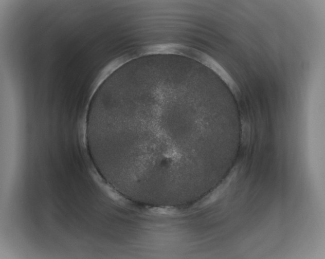 X0000111250994200907021427