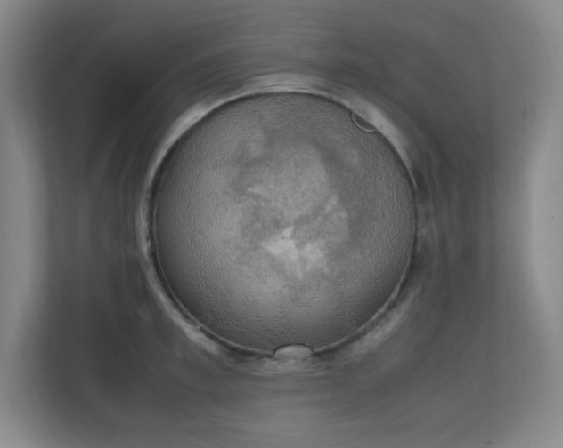 X0000111250997200907021427