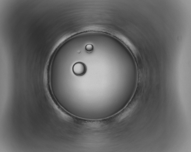 X0000111250999200907021427