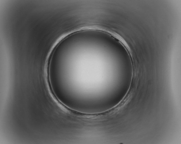 X0000111251005200907021427