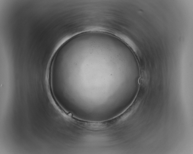 X0000111251007200907021427