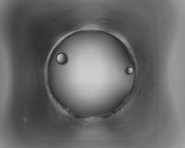 X0000111251008200907021427