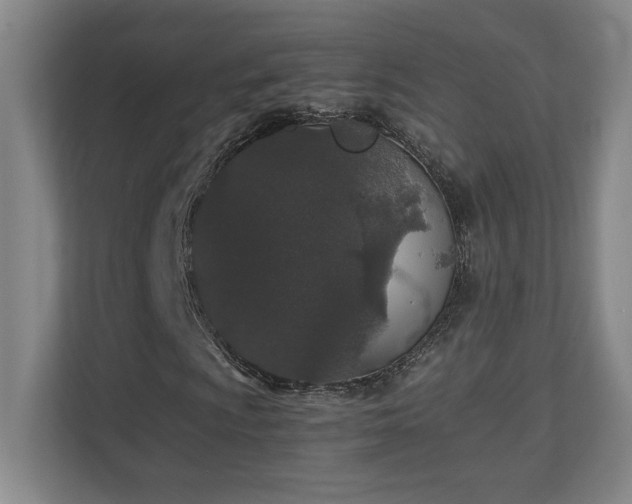 X0000111251009200907021427