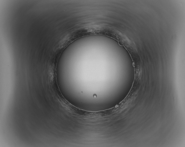 X0000111251012200907021427