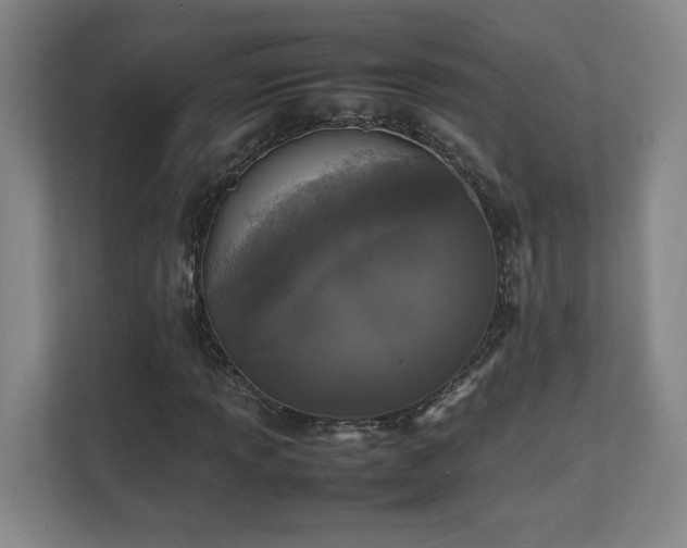 X0000111251013200907021427