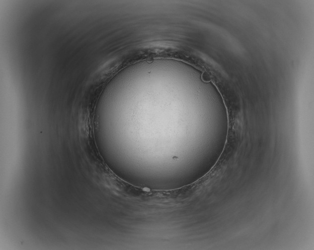 X0000111251014200907021427