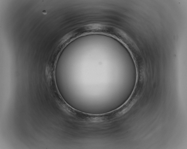 X0000111251017200907021427