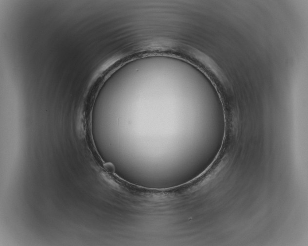 X0000111251018200907021427