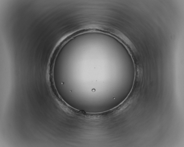 X0000111251020200907021427