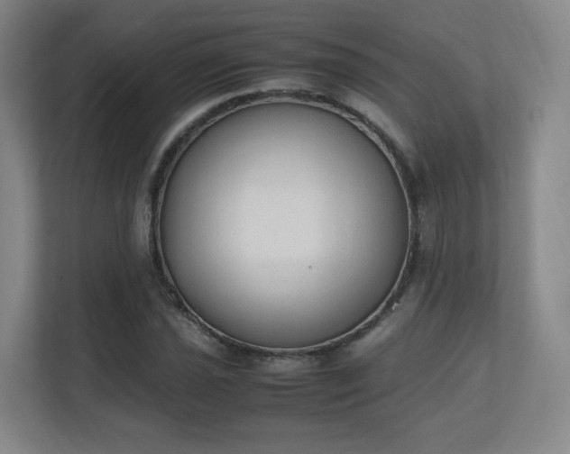 X0000111251021200907021427
