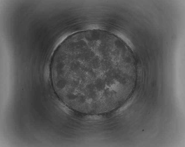 X0000111251023200907021427