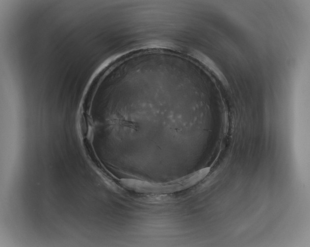 X0000111251024200907021427