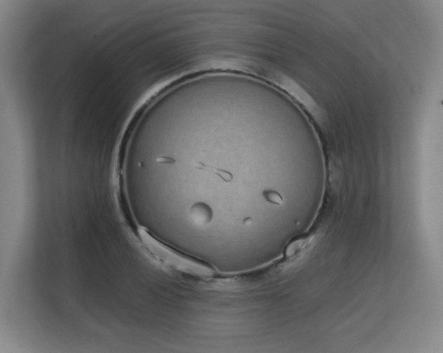 X0000111251028200907021427