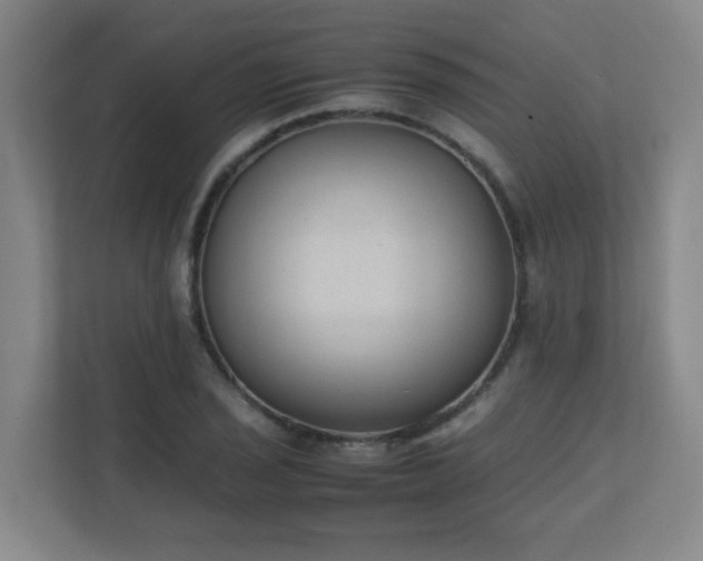 X0000111251029200907021427