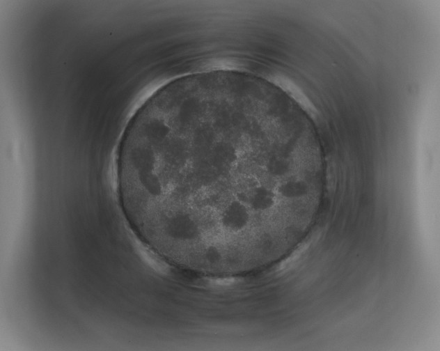 X0000111251031200907021427
