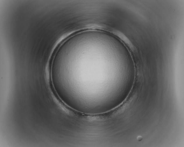 X0000111251032200907021427