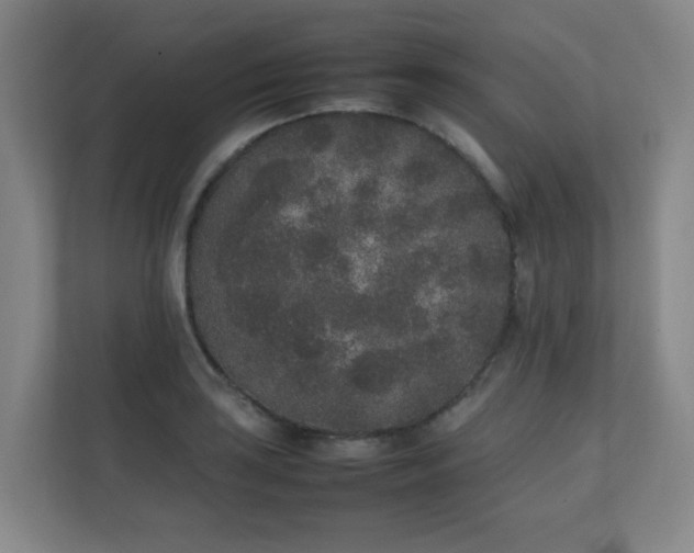 X0000111251035200907021427