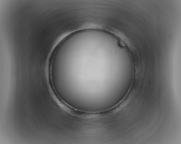 X0000111251038200907021427