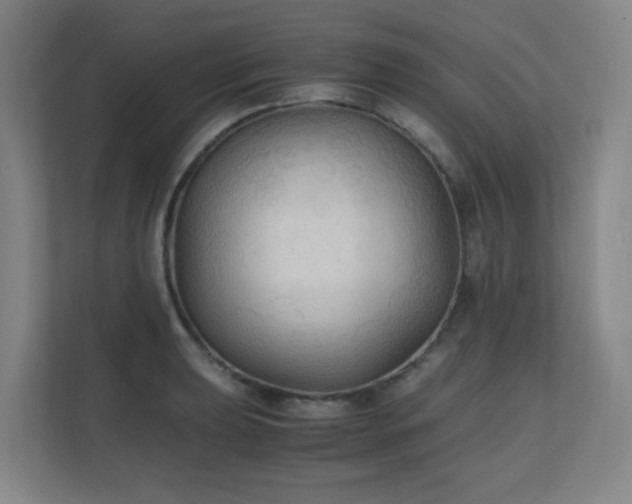 X0000111251039200907021427