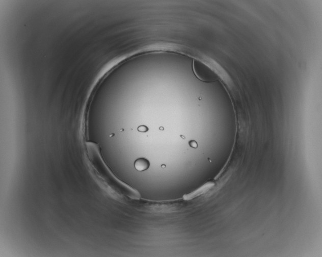 X0000111251044200907021427