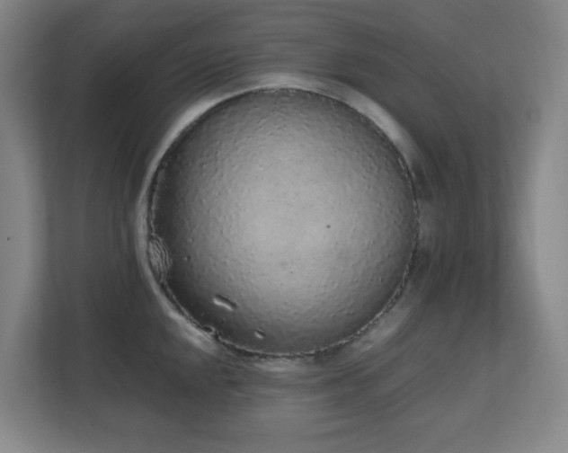 X0000111251048200907021427