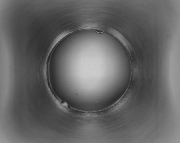 X0000111251050200907021427