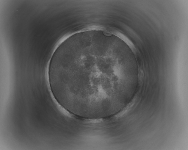 X0000111251055200907021427