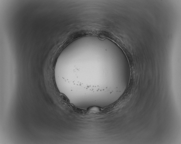 X0000111251057200907021427