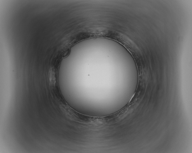 X0000111251058200907021427