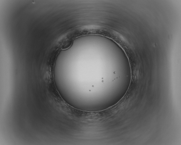 X0000111251062200907021427