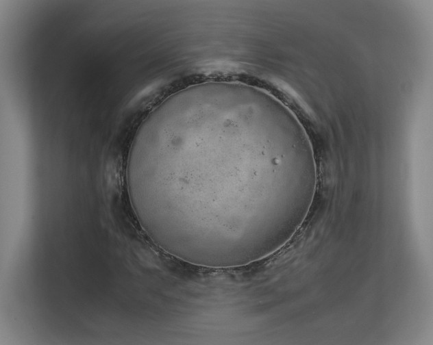 X0000111251063200907021427