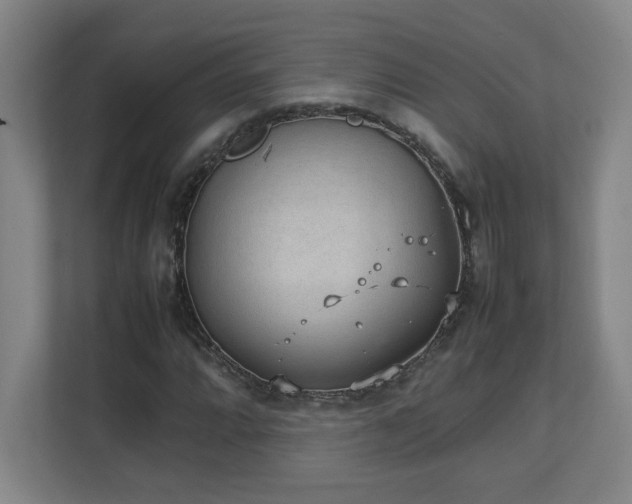 X0000111251064200907021427