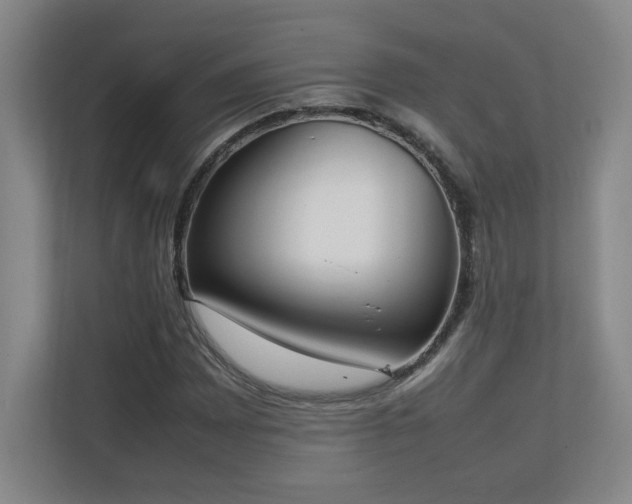 X0000111251065200907021427